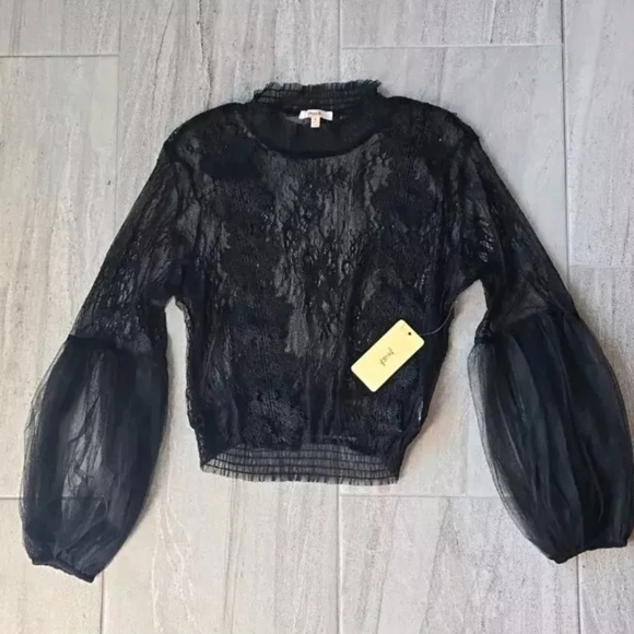PEACH Girl Lace CROPPED TOP Mock Neck Long Sleeve Sz L Sheer Witchy Goth Black - Picture 1 of 7
